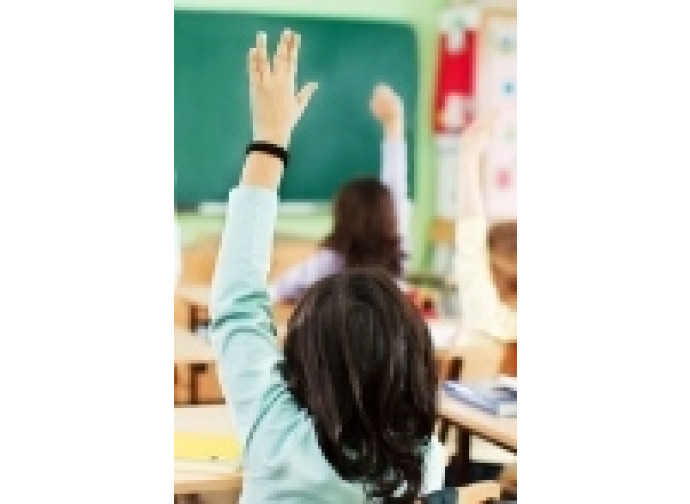 Educazione Omogenea Educazione Omogenea